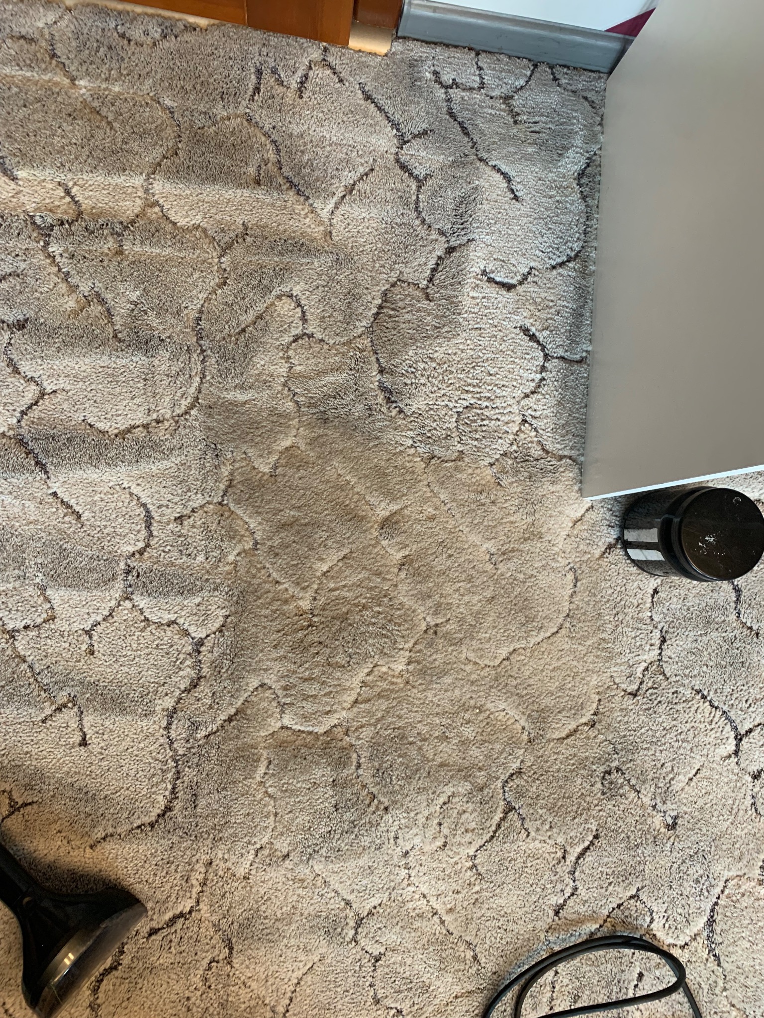 Fragment czyszczonego dywanu w beżowych odcieniach z wyraźnym wzorem, widoczne ślady po czyszczeniu parowym i końcówka odkurzacza piorącego.