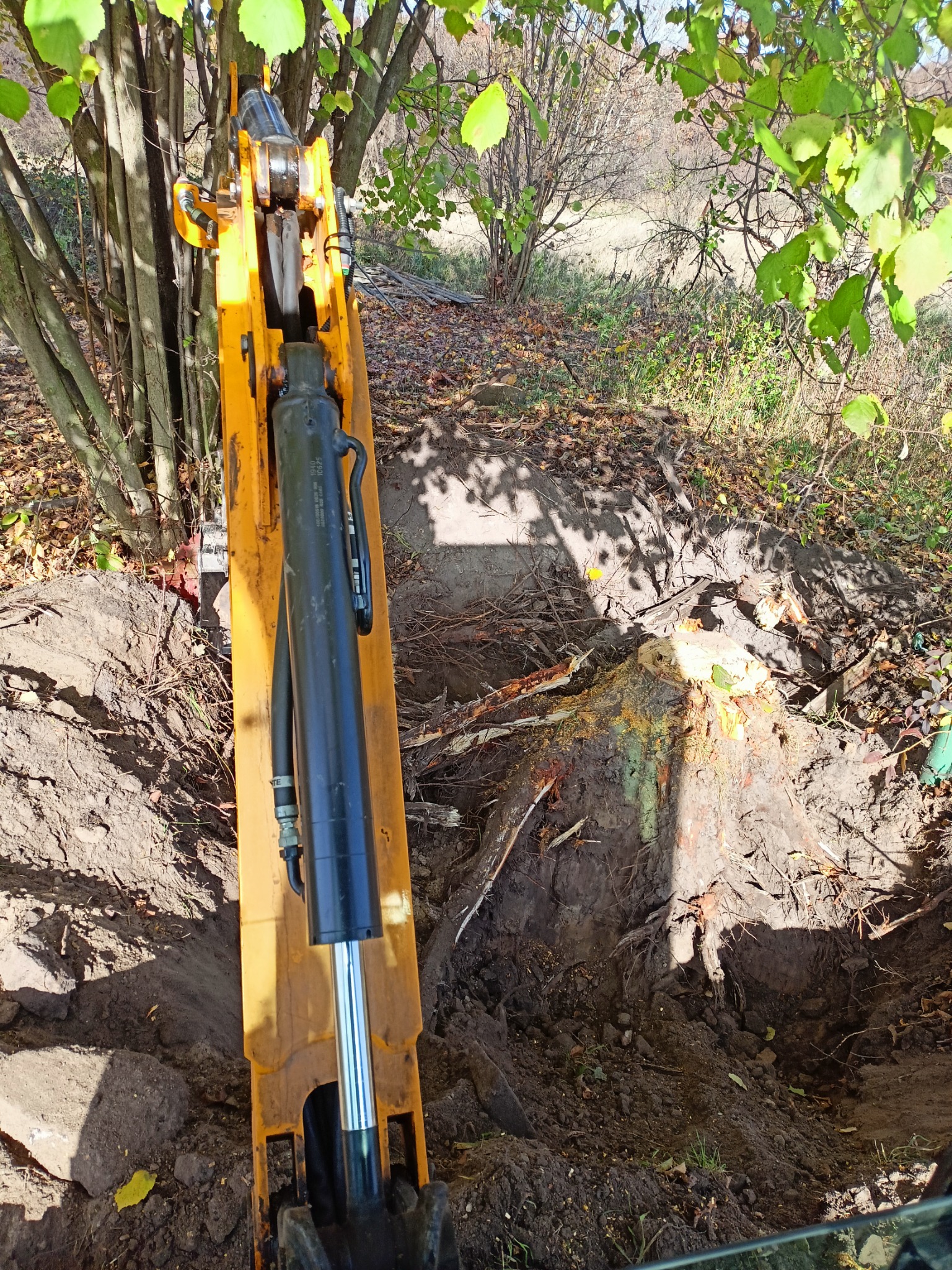 Żółta koparka w trakcie usuwania pnia drzewa z ziemi, widoczne korzenie i resztki drewna w wykopie, tło z liściastymi drzewami.