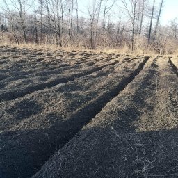 KONBUD - Przygotowane pod sadzenie, zaorane pole z widocznymi rzędami ziemi i drzewami w tle.