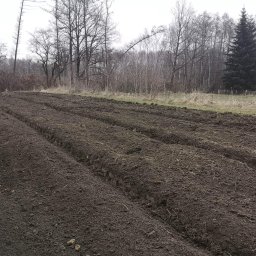 KONBUD - Przygotowane bruzdy w ziemi na polu, gotowe do sadzenia, w tle widoczne drzewa bez liści i pojedyncza choinka.