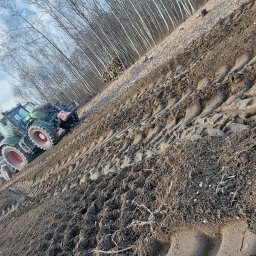 Wycinka drzew Katowice 4