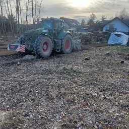 Wycinka drzew Katowice 2