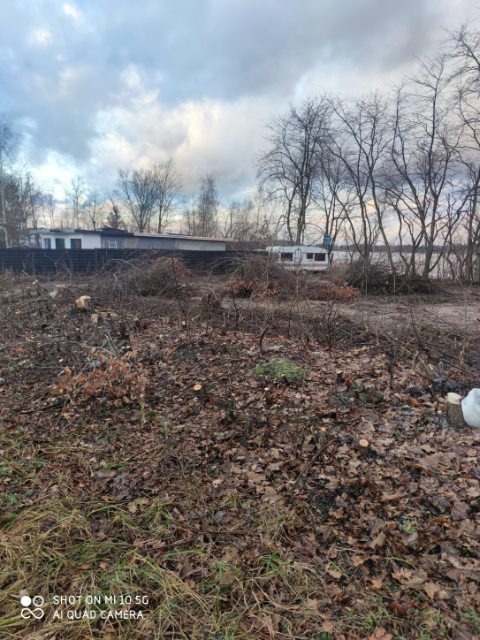 Teren po wycince drzew, widoczne pnie i gałęzie, w tle budynek i przyczepa kempingowa, pochmurne niebo.