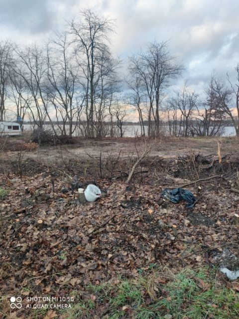 Teren po wycince drzew z widocznymi ściętymi pniami, gałęziami, liśćmi, workiem na śmieci i wiadrem, w tle jezioro i drzewa bez liści pod pochmurnym niebem.