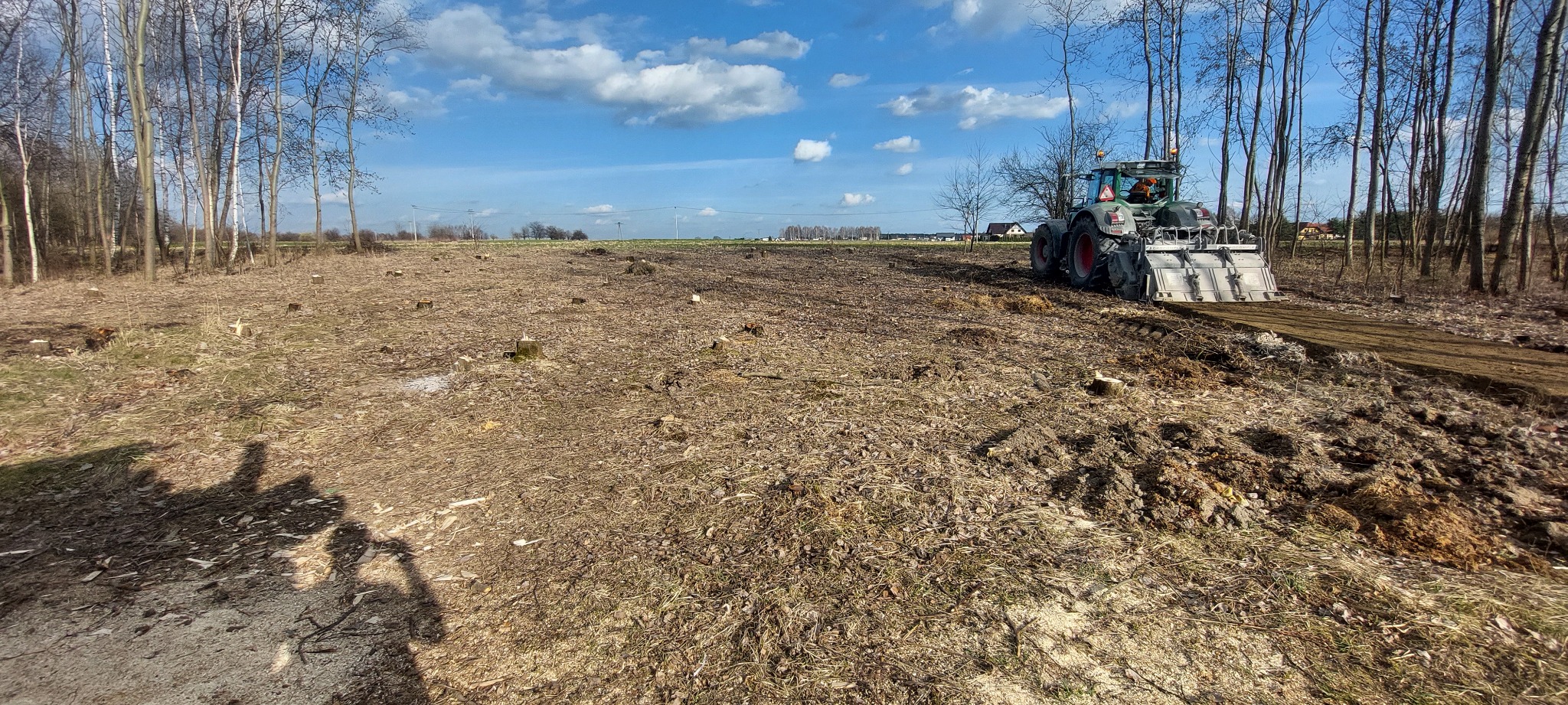 Teren po wycince drzew przygotowywany traktorem z glebogryzarką, widoczne pnie ściętych drzew, błękitne niebo z chmurami