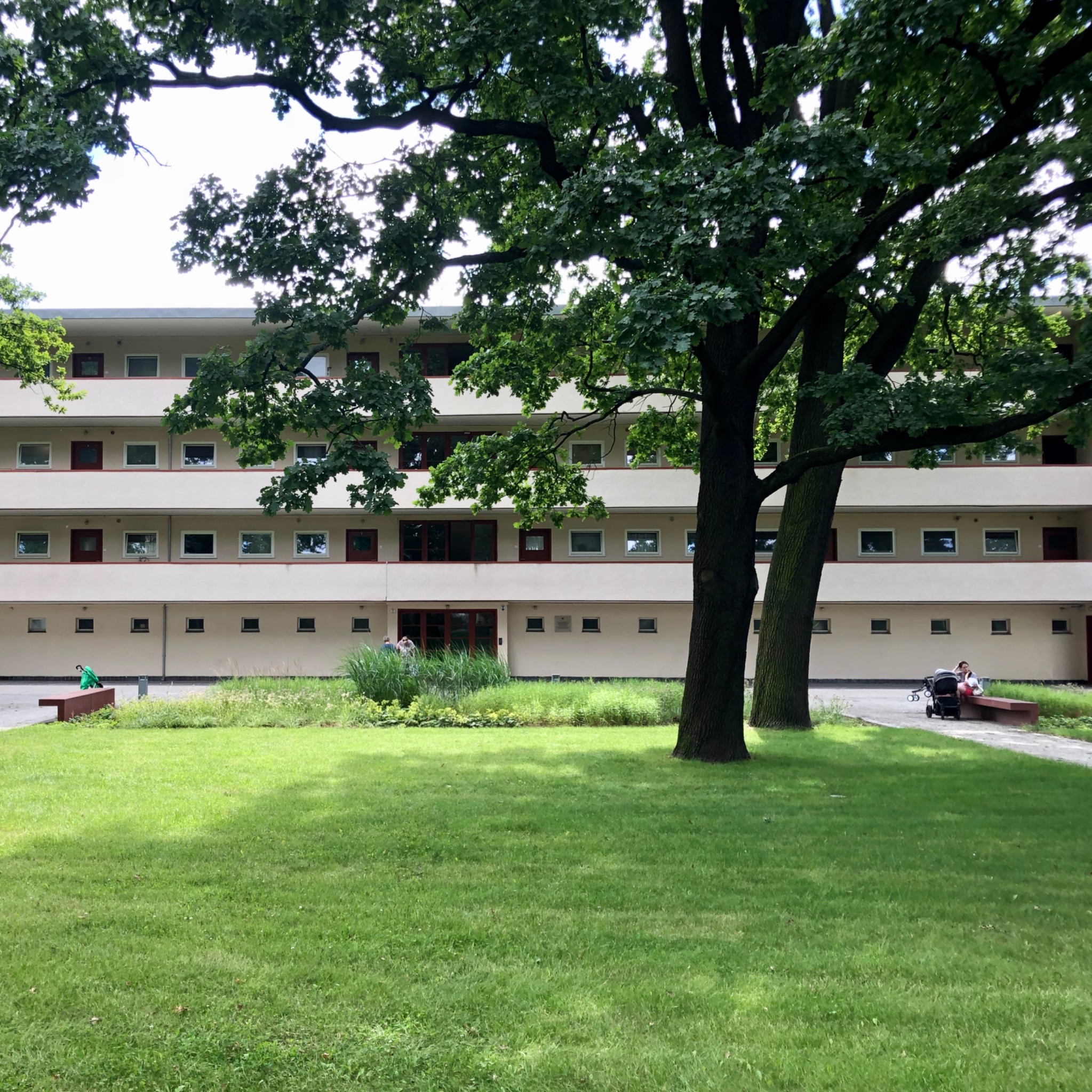 Trzykondygnacyjny budynek usługowy z płaskim dachem, kremową fasadą, rzędami okien i ciemnymi drzwiami, otoczony zielonym trawnikiem i drzewami w słoneczny dzień.