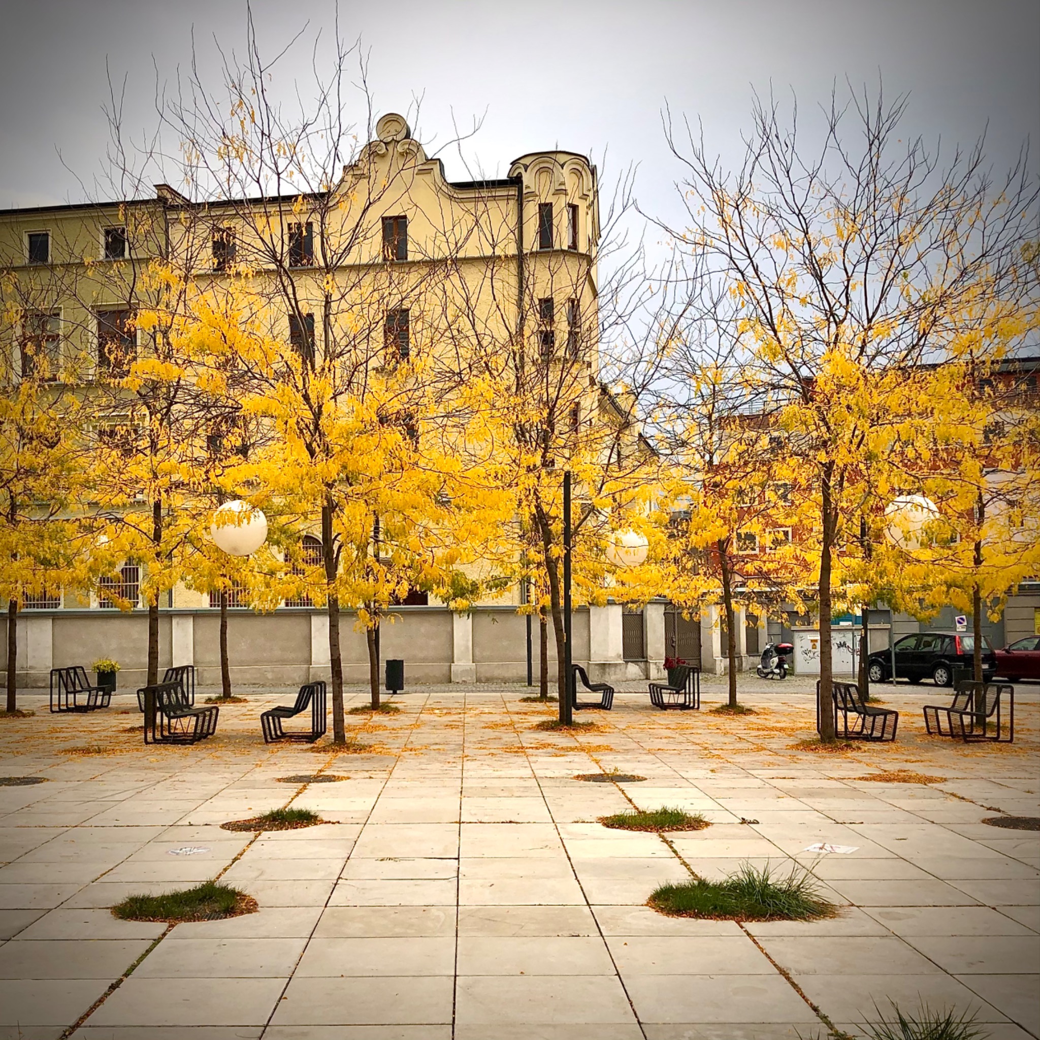 Jesienny plac miejski z żółtymi drzewami, minimalistycznymi ławkami i historycznym budynkiem w tle.