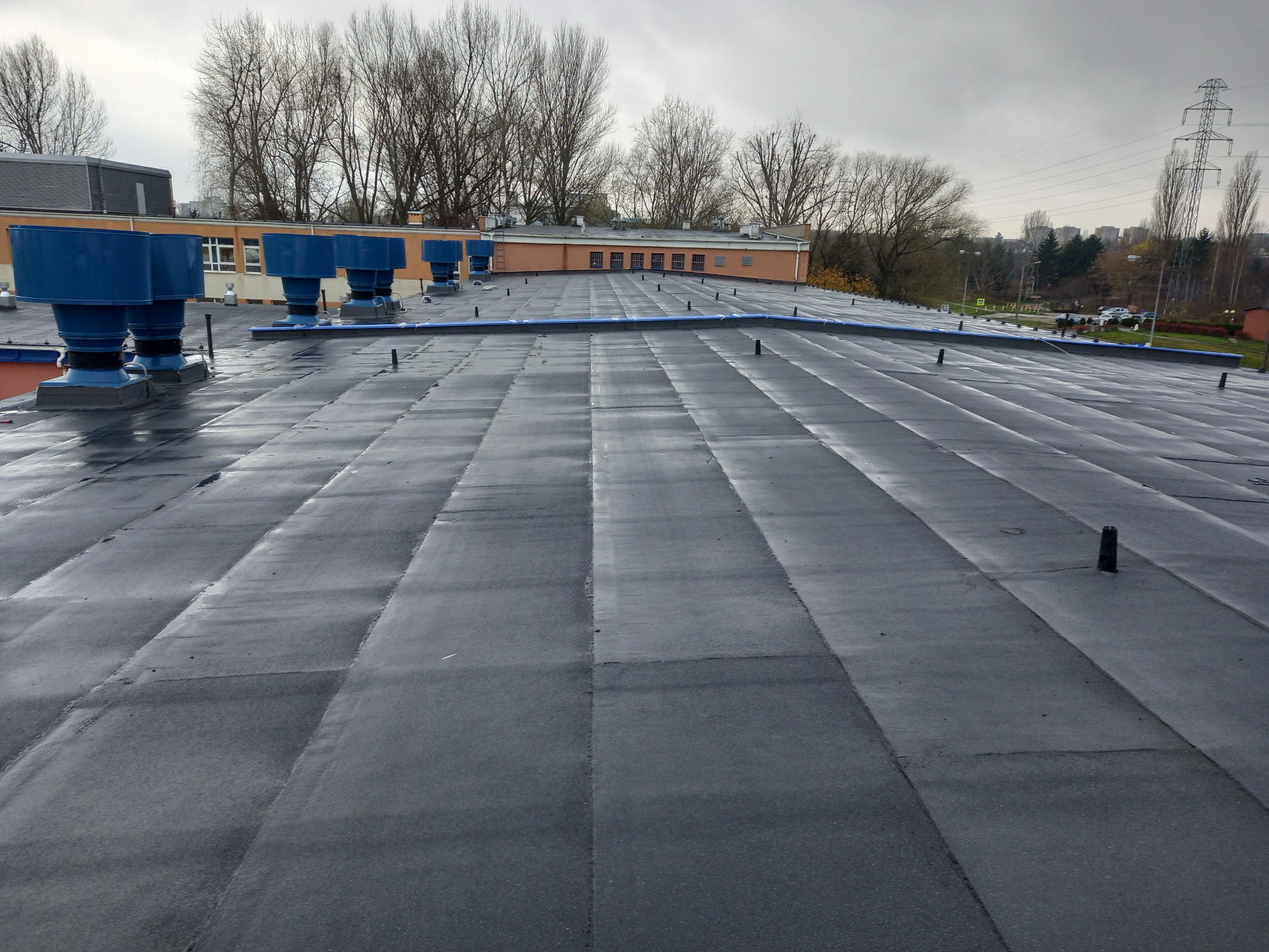 Płaski dach pokryty czarną papą z widocznymi niebieskimi elementami wentylacyjnymi i pionowymi rurami odpowietrzającymi na tle szarego nieba i drzew bez liści.