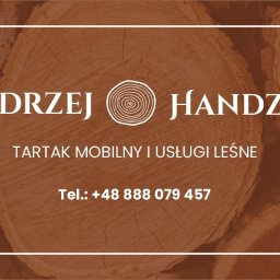 Andrzej Handzel - Ścinanie Drzew Szaflary