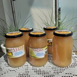 Miód ze zbioru wiosennego 2024. Prosto z ula. 