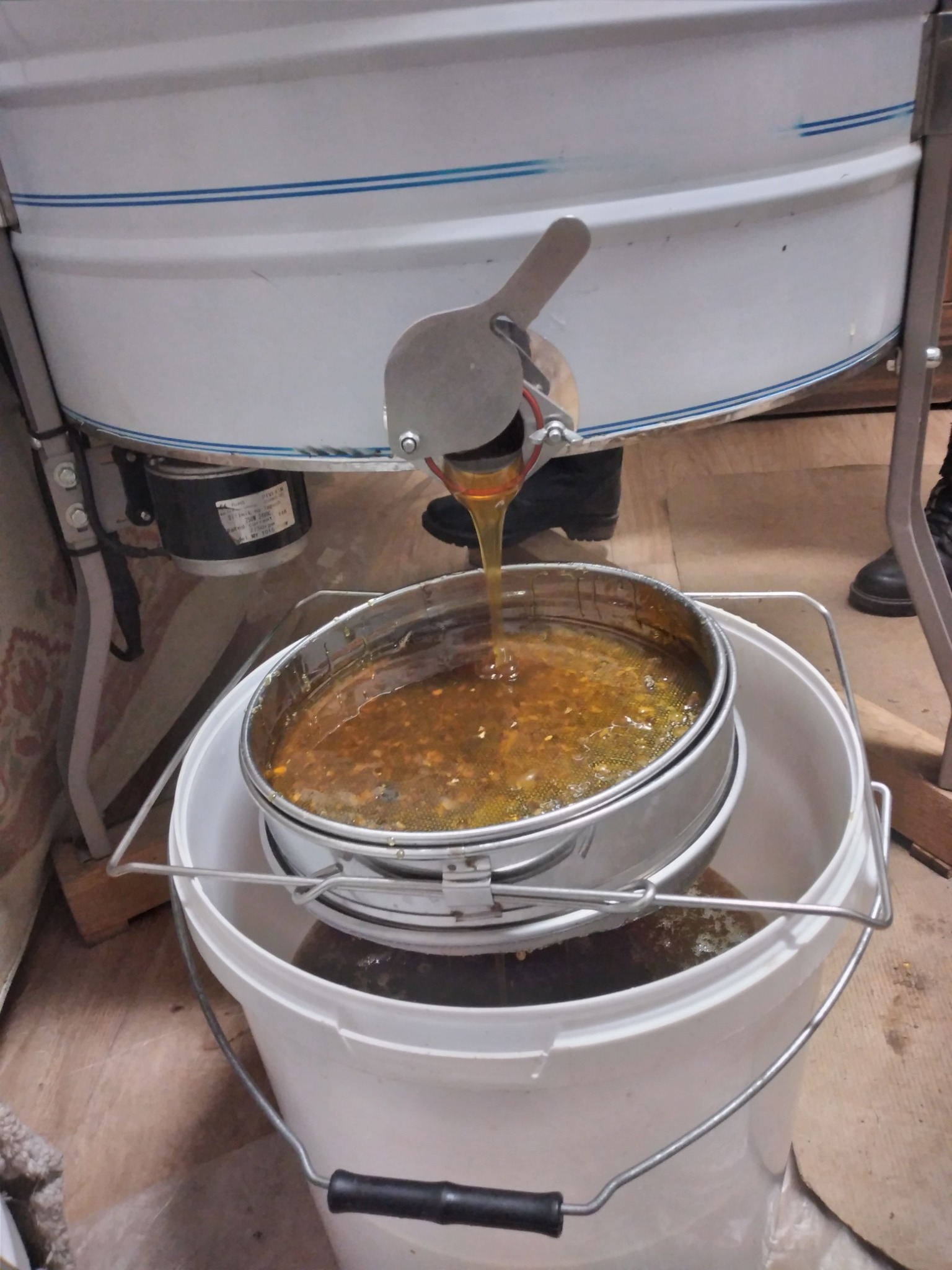 Proces pozyskiwania: złocisty płyn spływa z miodarki przez sito do białego wiadra. Widoczne elementy miodarki i fragment podłogi.