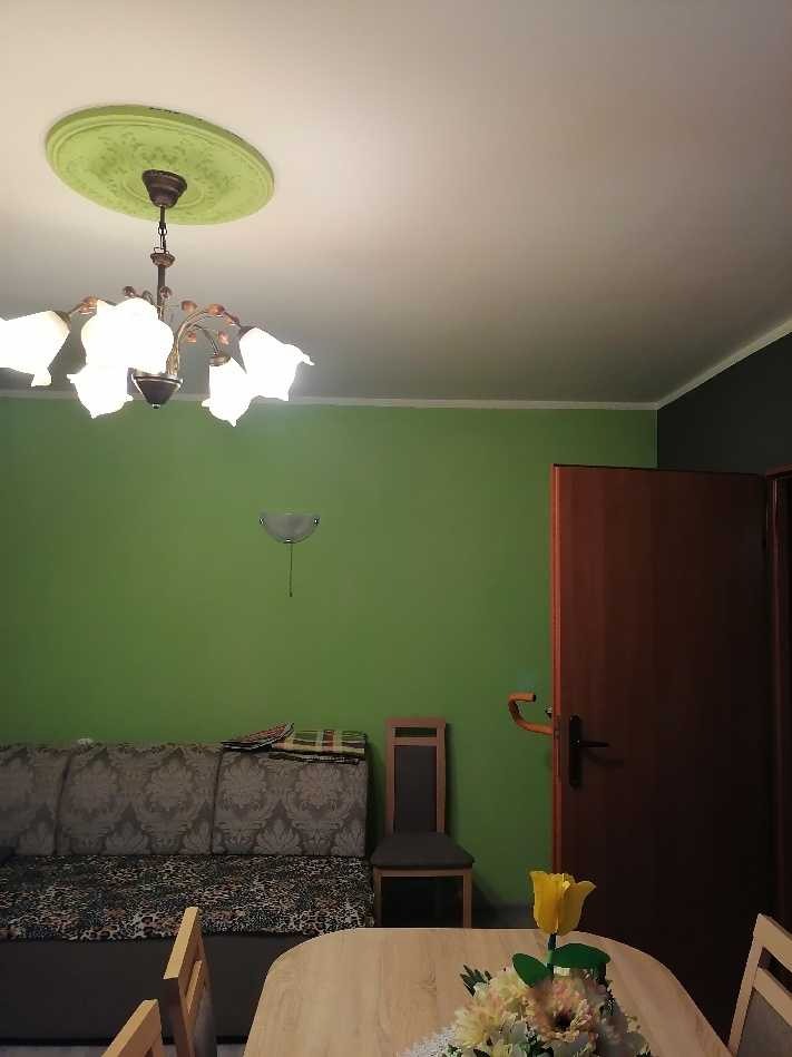 Pokój z zielonymi ścianami, widoczny fragment sofy, stół z kwiatami, drzwi i lampa sufitowa z ozdobnym elementem w kolorze ścian.