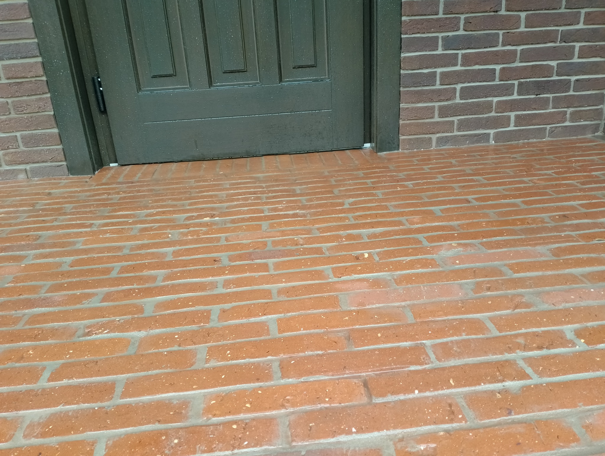 Ciemnozielone drzwi wejściowe osadzone w ceglanej ścianie i na ceglanym podłożu, widoczne krople wody na powierzchni.