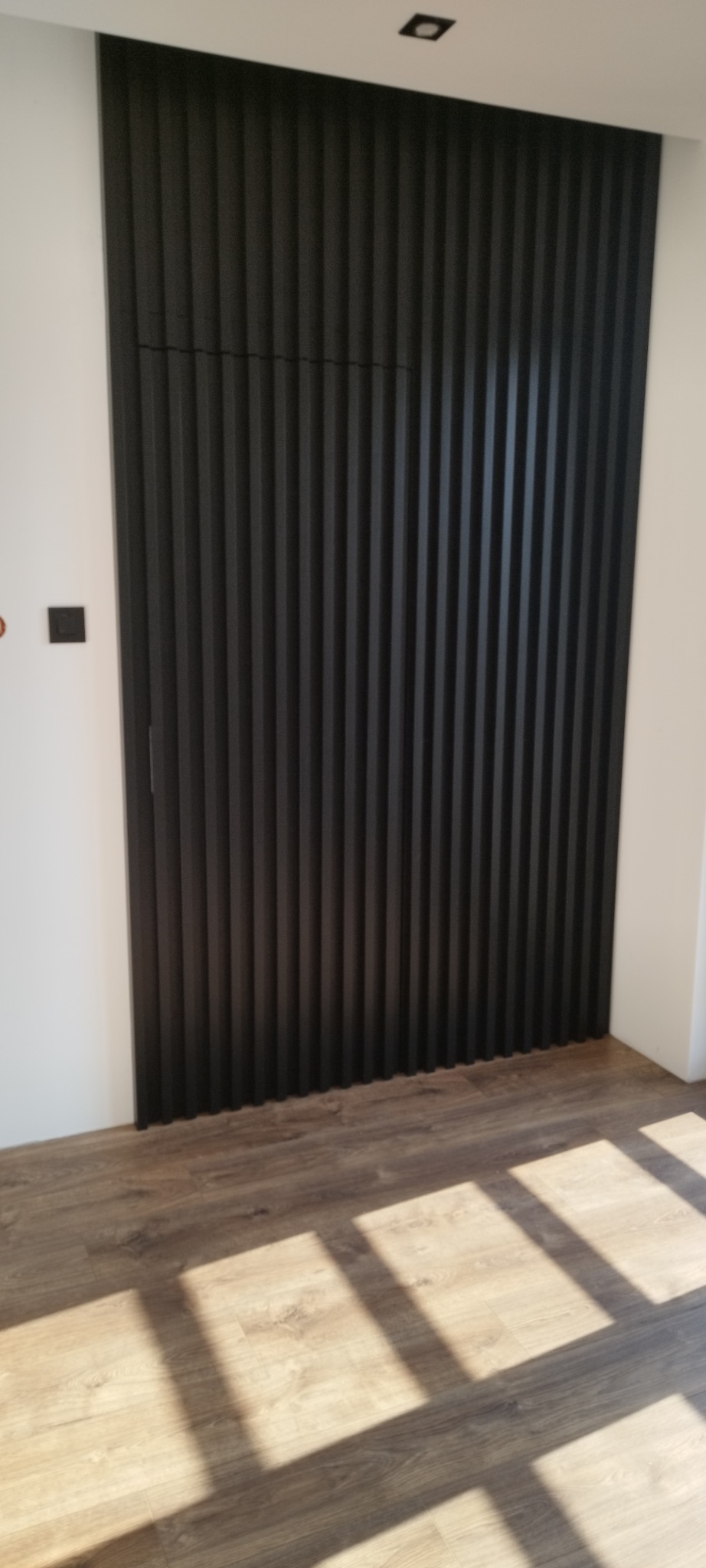 Drzwi ukryte Jesion. Wykończenie RAL 9005 MAT