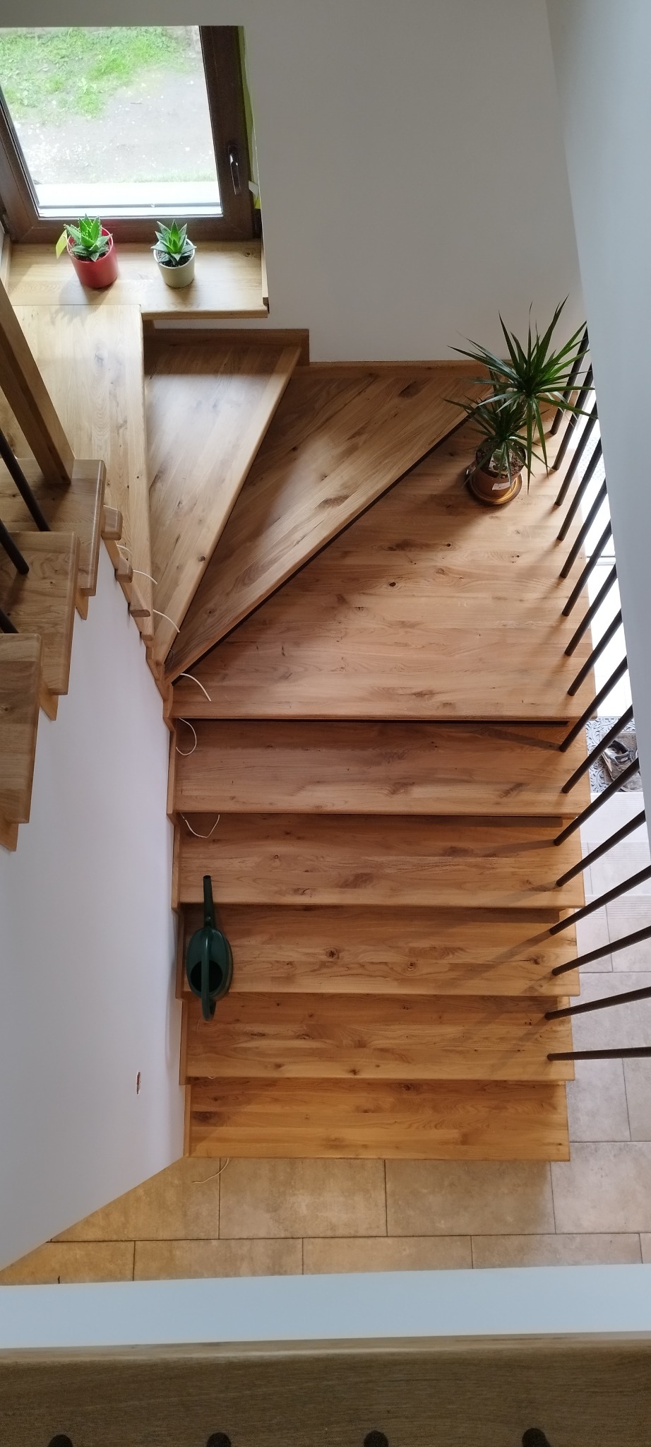 Widok z góry na jasne, dębowe schody z czarnymi, metalowymi poręczami. Na schodach stoi zielona konewka, a na parapecie okna i na podeście znajdują się doniczki z roślinami.