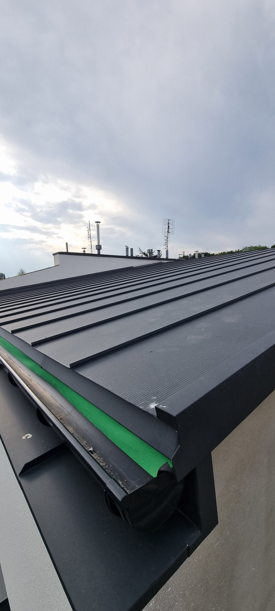 Nowoczesny, czarny dach z blachy trapezowej z widocznym systemem rynnowym z zieloną siatką zabezpieczającą przed liśćmi, na tle pochmurnego nieba i kominów.