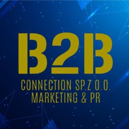Agencja Marketingu Biznesowego B2B Connection - Wykonanie Strony Internetowej Świdnik