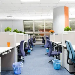Rząd pustych stanowisk pracy w biurze typu open space, z niebieskimi krzesłami, roślinami w doniczkach na przegrodach, niebieskim dywanem i koszami na śmieci, jeden kubek na biurku.