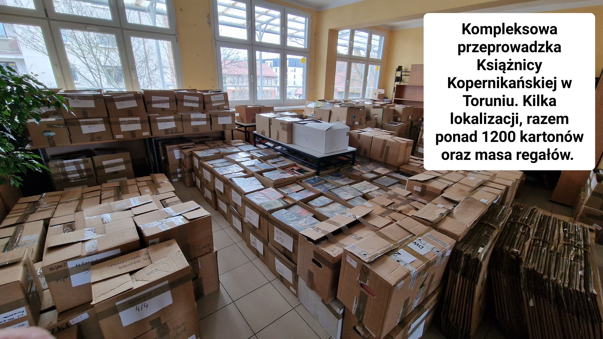 Kilkaset kartonów, częściowo otwartych, wypełnionych książkami, przygotowanych do transportu podczas przeprowadzki biblioteki, widoczne regały w tle.
