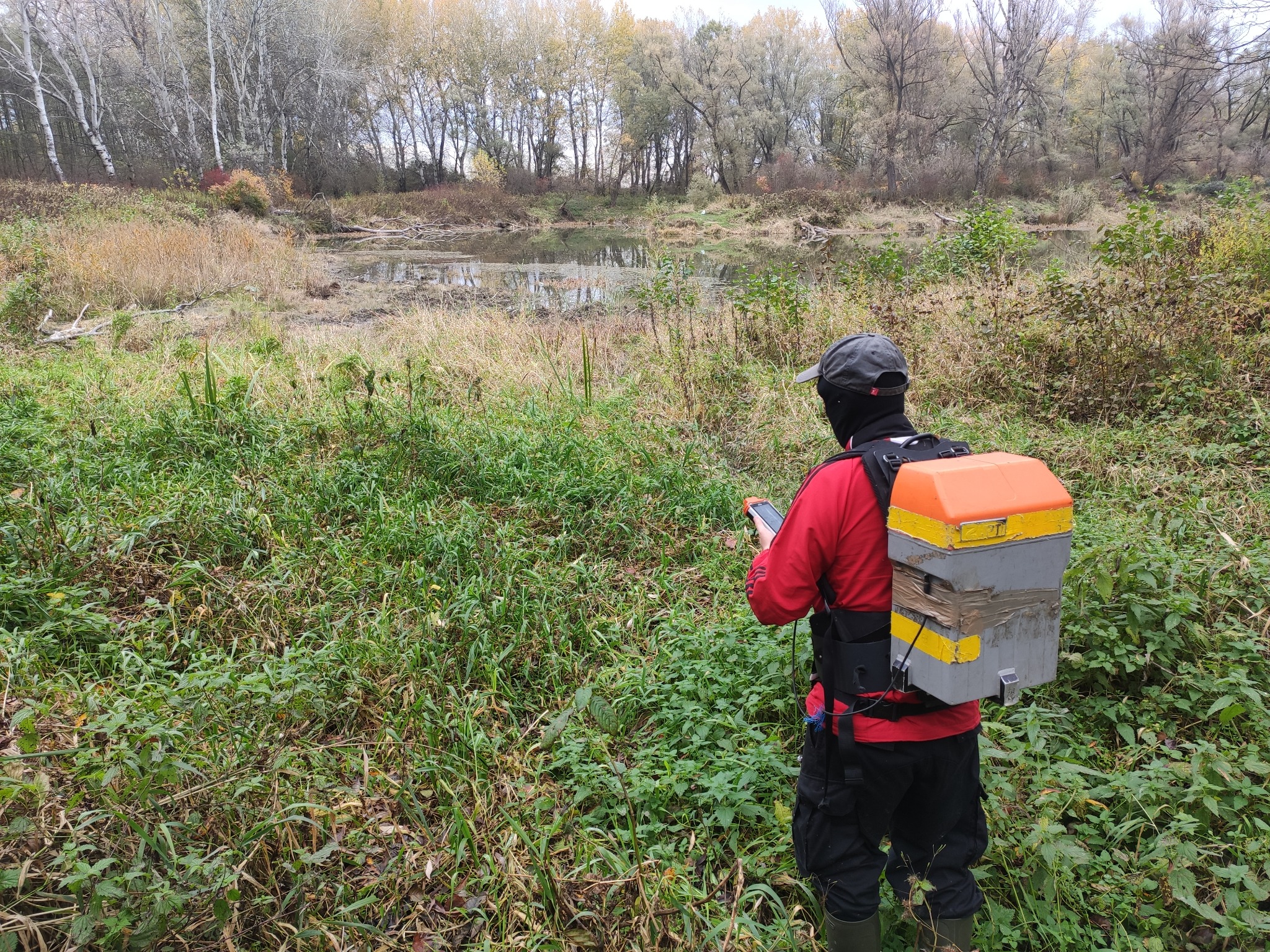 Tyczenie profilii sejsmicznych