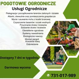 Pogotowie Ogrodnicze - Sprzątanie Biur w Nocy Toruń