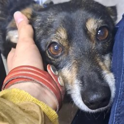 Serdecznie zapraszam do kontaktu mam sporo wolnego czasu na spacerki