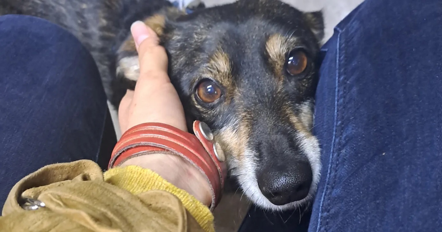 Serdecznie zapraszam do kontaktu mam sporo wolnego czasu na spacerki