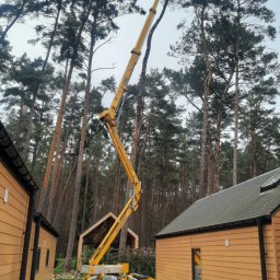 Michał Szyszka - Żółty podnośnik koszowy na gąsienicach ustawiony na trawniku między domkami z drewnianą elewacją, unoszący pracownika w koszu na tle wysokich sosen i przygotowujący się do cięcia gałęzi drzewa.