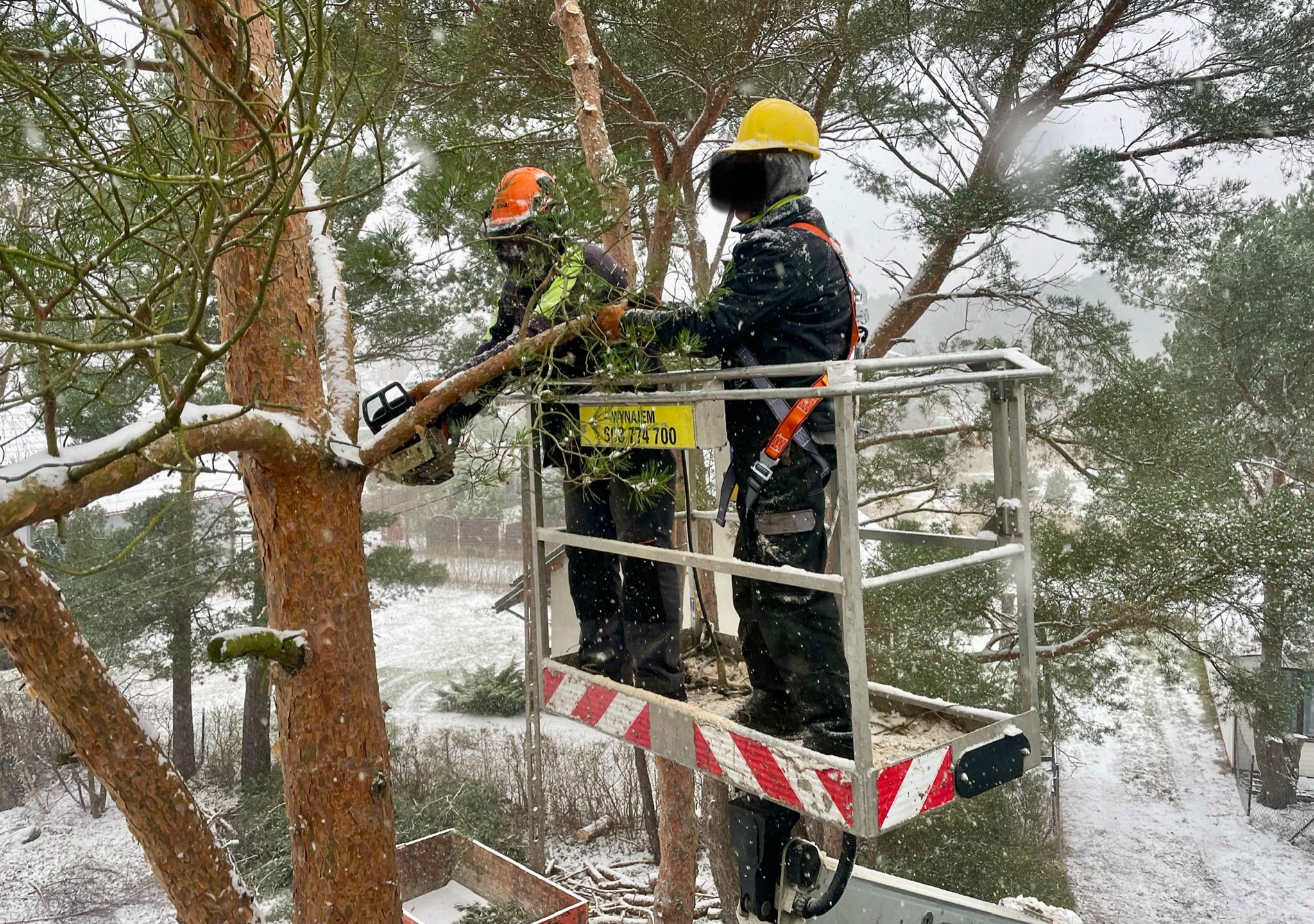 Wycinka sekcyjna drzew trudnych, nad dachami, płotami czy liniami energetycznymi.