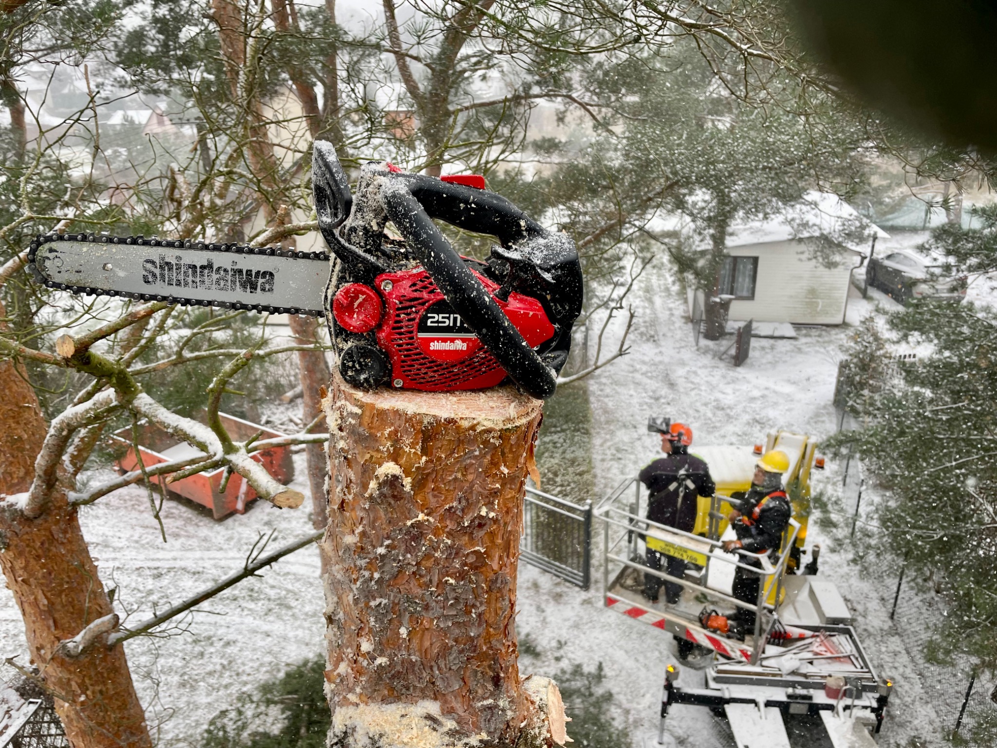 Czerwona pilarka spalinowa Shindaiwa 251 na pniu ściętego drzewa, w tle pracownicy na podnośniku koszowym podczas zimowej aury.