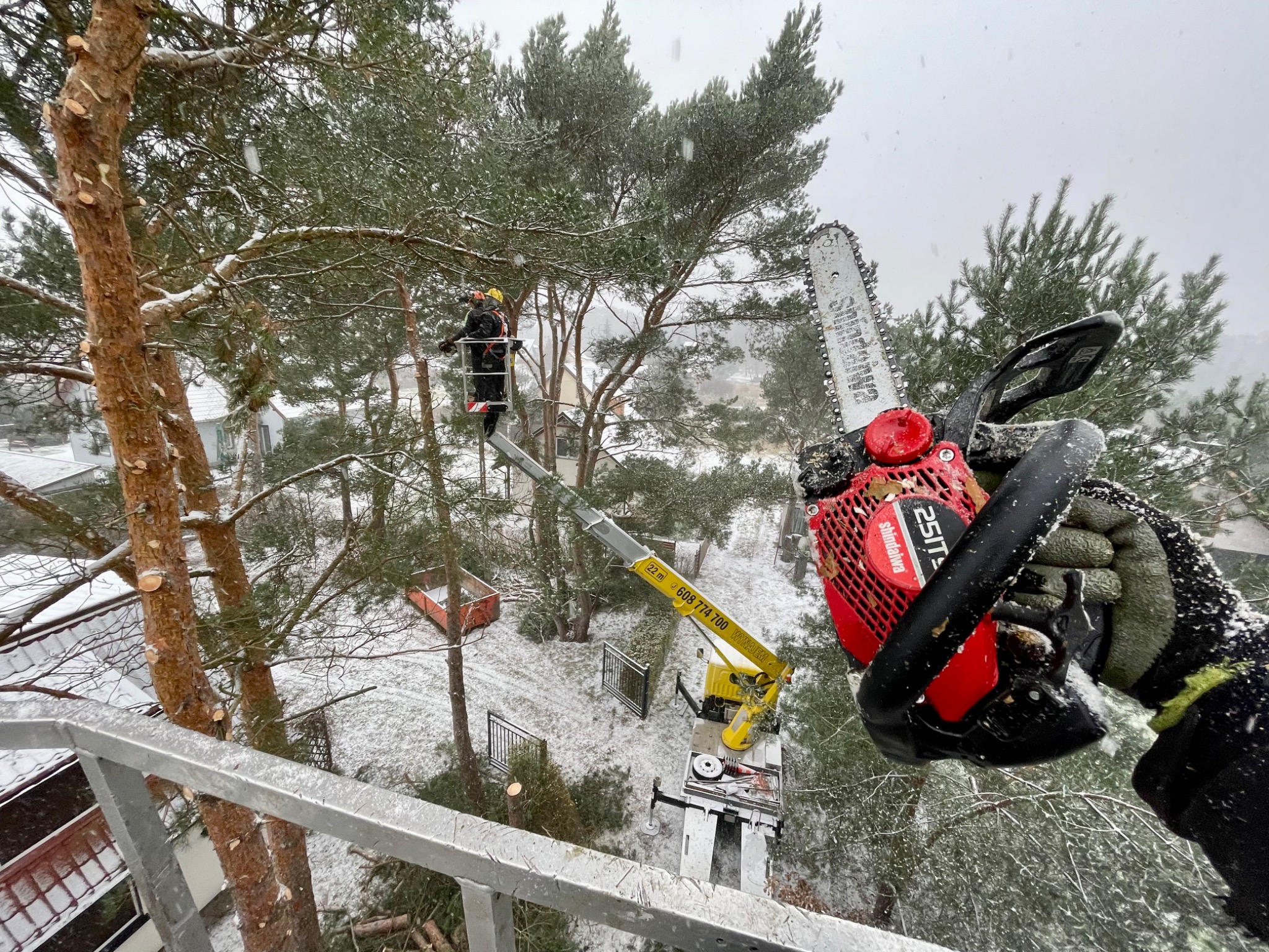 Pracownik w hełmie na wysięgniku tnie drzewo piłą spalinową Shindaiwa 251TS podczas śnieżycy; obcięte gałęzie i pień drzewa z widocznymi śladami cięcia leżą na ośnieżonym podłożu.