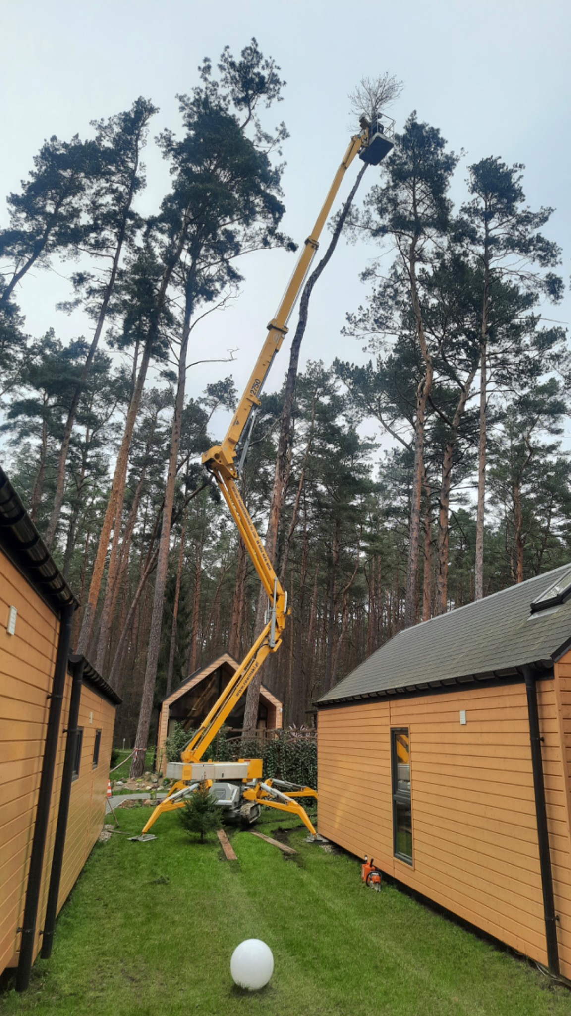 Żółty podnośnik koszowy na gąsienicach ustawiony na trawniku między domkami z drewnianą elewacją, unoszący pracownika w koszu na tle wysokich sosen i przygotowujący się do cięcia gałęzi drzewa.