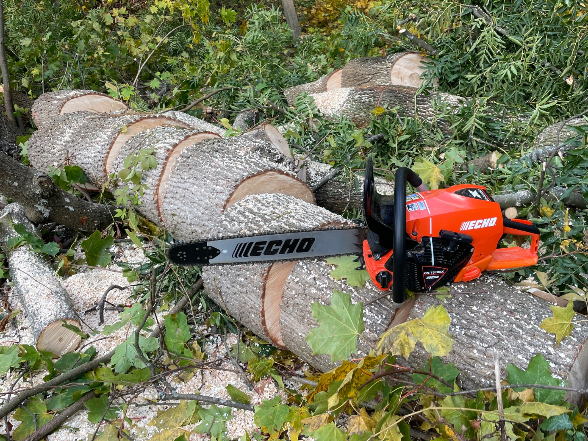 Pomarańczowa pilarka łańcuchowa marki Echo leży na pniu drzewa pociętego na grube plastry, otoczona liśćmi i gałęziami.