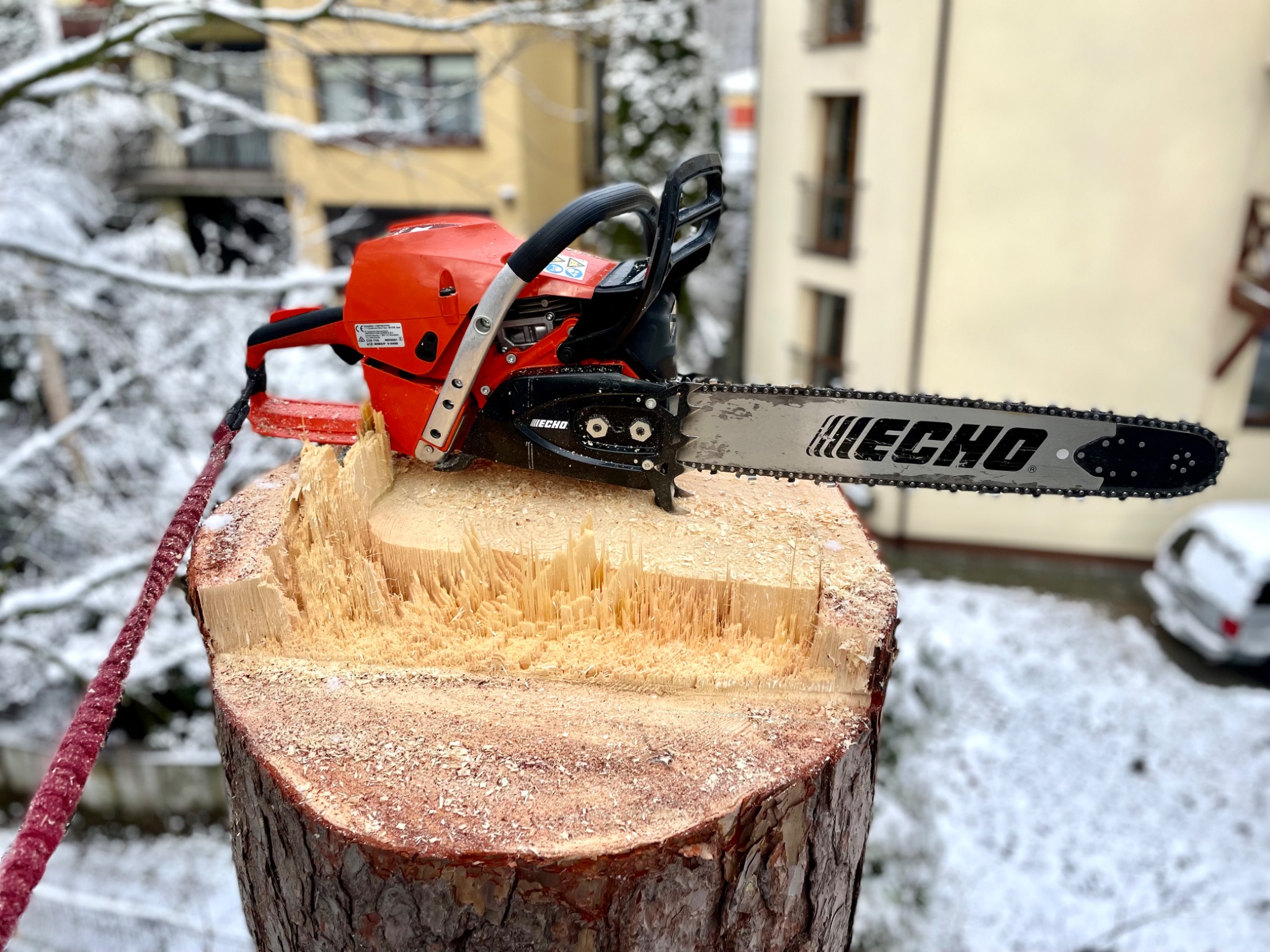 Czerwona pilarka spalinowa marki Echo leży na świeżo ściętym pniu drzewa, w tle budynek mieszkalny i śnieg.