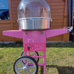 P.W. Mieczysław Grzeszczuk - Różowy wózek do waty cukrowej z przezroczystą kopułą i logo 'King Candy Floss by ROYAL catering' na tle drewnianego budynku i trawnika.