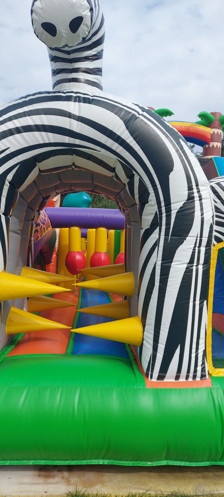 Z bliska widok na dmuchany zamek w kształcie zebry z żółtymi przeszkodami wewnątrz, z widocznymi elementami dekoracyjnymi w tle, w tym dmuchanym tęczą i palmami.