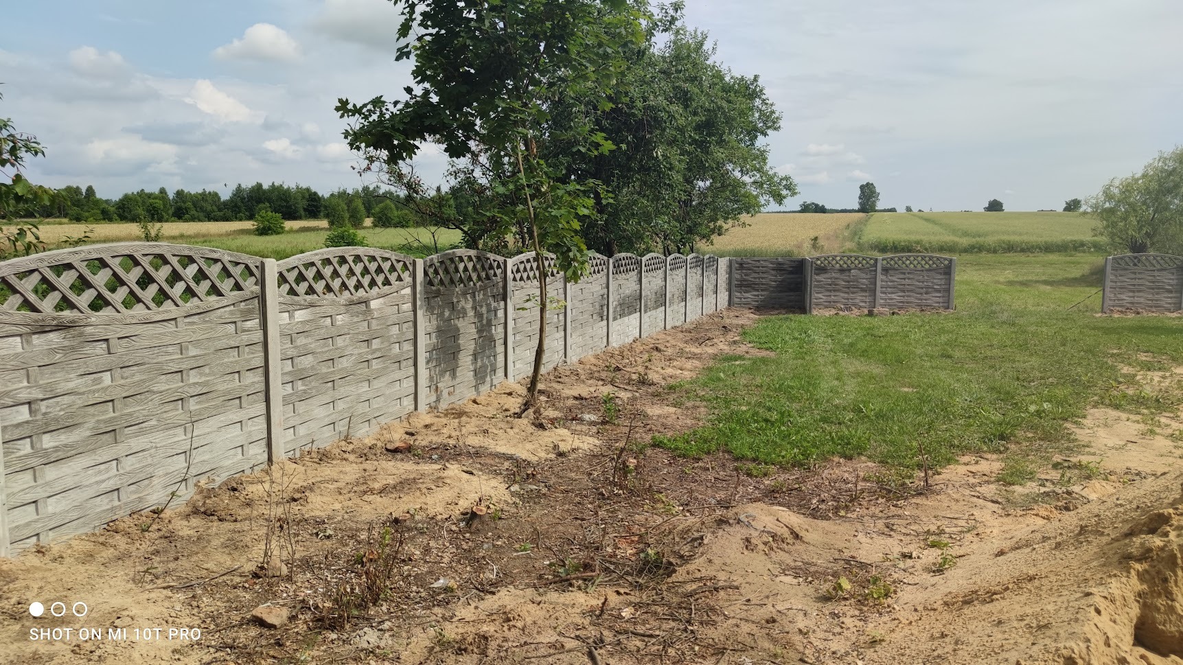 Długi, szary płot z prefabrykatów betonowych o wzorze imitującym plecionkę, z ozdobną kratką u góry, oddziela trawnik od pola uprawnego w słoneczny dzień.