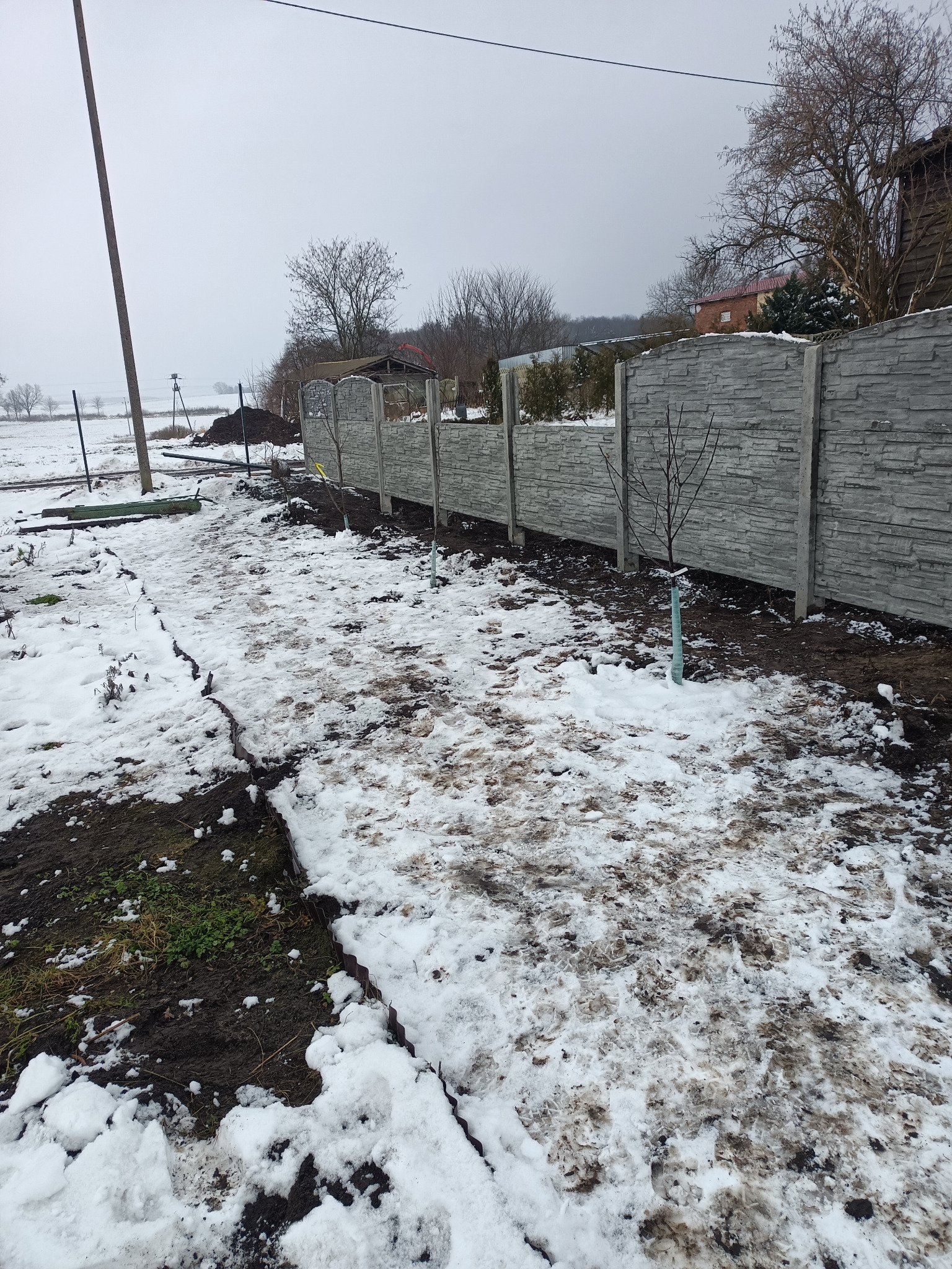 Szary, betonowy płot panelowy z widoczną fakturą kamienia, częściowo pokryty śniegiem, oddzielający posesję; wzdłuż płotu posadzone małe drzewka z zabezpieczeniami.
