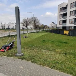 Czerwona kosiarka spalinowa stojąca na trawniku po skoszeniu, widoczne ślady cięcia, w tle budynki mieszkalne i drzewa.