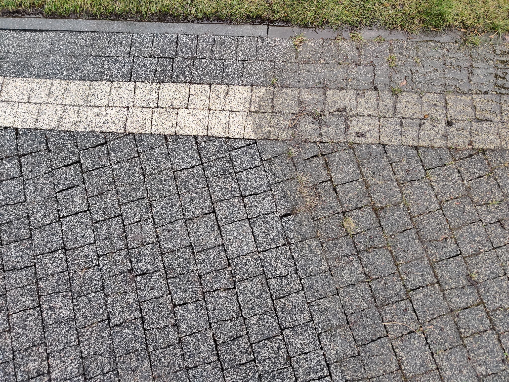 Szara kostka brukowa ułożona w regularny wzór z pojedynczym rzędem jasnych kostek, widoczne drobne chwasty rosnące między kostkami i trawa na krawędzi.