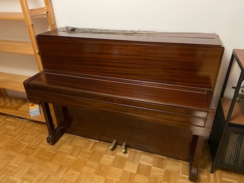 Antyczne, mahoniowe pianino z pawim piórem na górze, stojące na parkiecie w pokoju z regałami w tle.