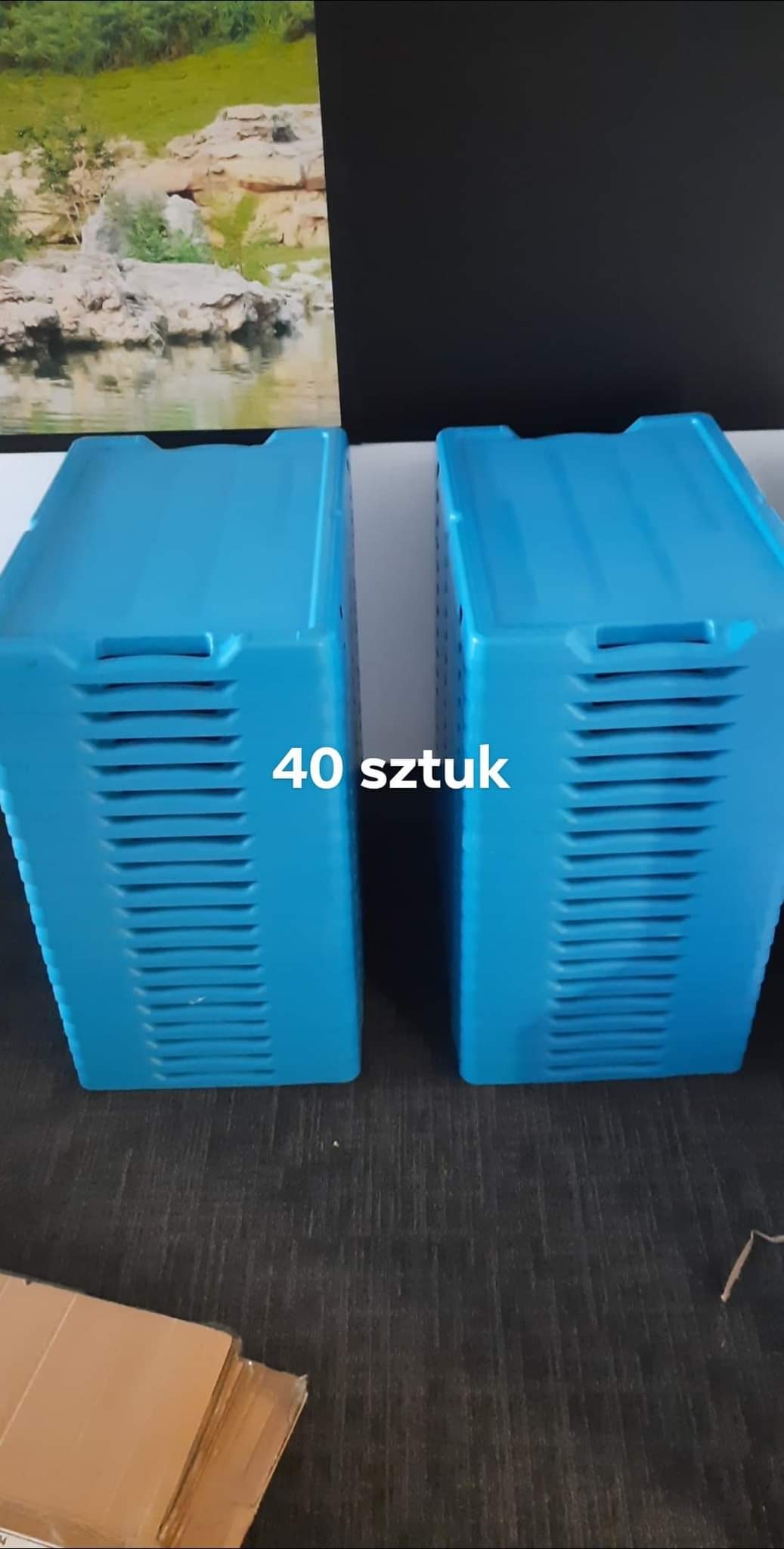 Dwa niebieskie pojemniki plastikowe z otworami wentylacyjnymi, ułożone obok siebie z napisem '40 sztuk', na tle ściany z obrazem górskiego krajobrazu i czarnego panelu.