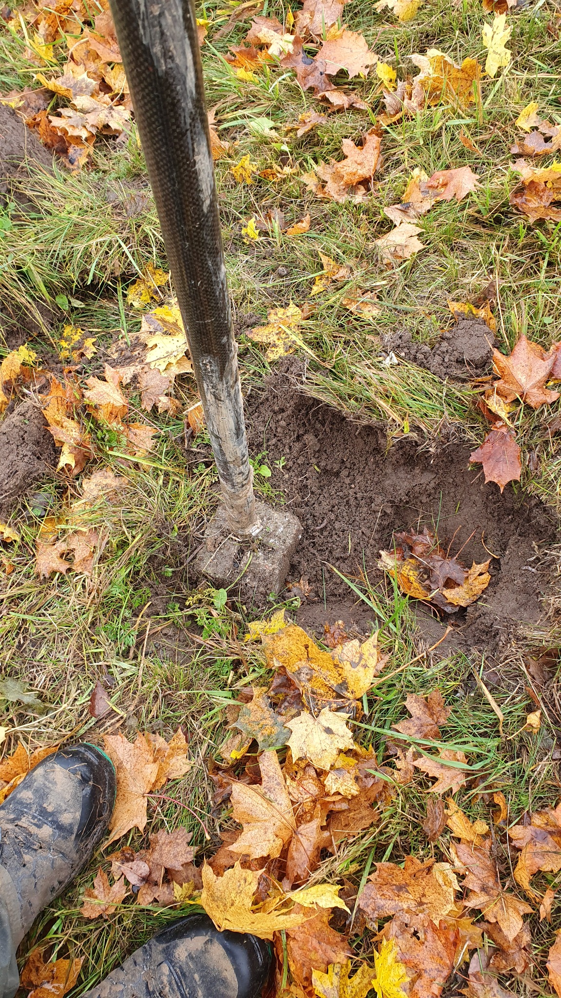 Wbijanie sondy w ziemię na trawiastym terenie z opadłymi liśćmi, prawdopodobnie w celu badania gruntu. Widoczne buty w dolnej części kadru.