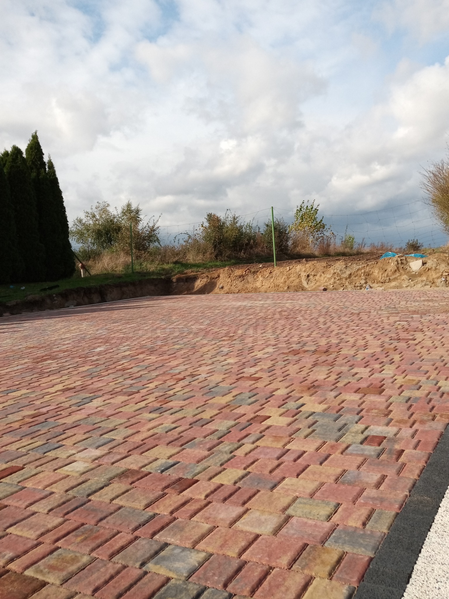 Ułożona, kolorowa kostka brukowa na posesji, widoczne drzewa iglaste w tle i częściowo wykopana ziemia.