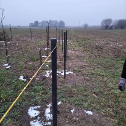 Filip Nowak - Wytyczanie terenu pod budowę z użyciem czarnych słupków i żółtego sznurka na błotnistym, częściowo ośnieżonym polu w pochmurny dzień.