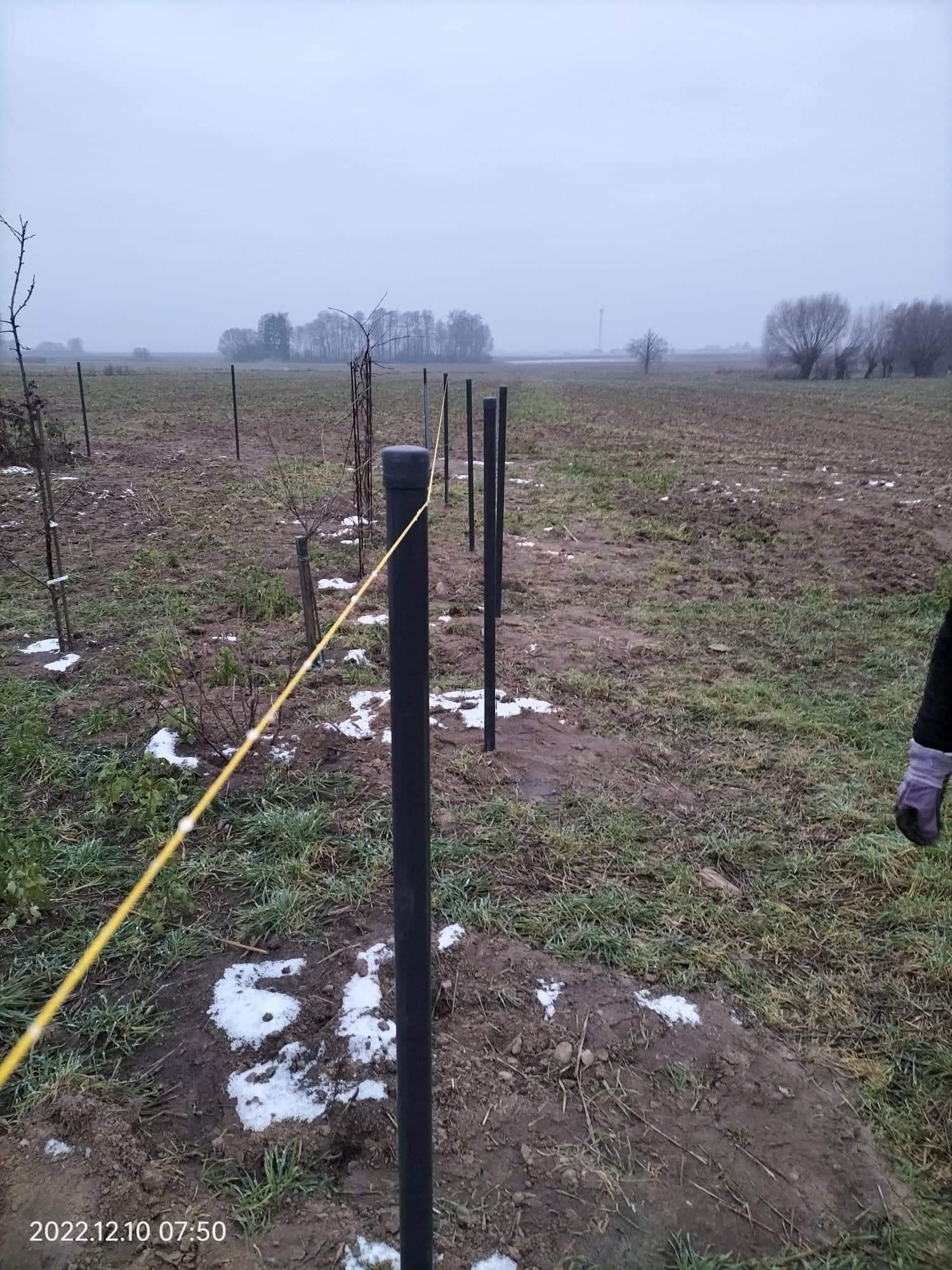 Wytyczanie terenu pod budowę z użyciem czarnych słupków i żółtego sznurka na błotnistym, częściowo ośnieżonym polu w pochmurny dzień.