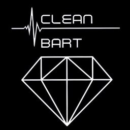 CLEAN BART - Sprzątaczka Świecie