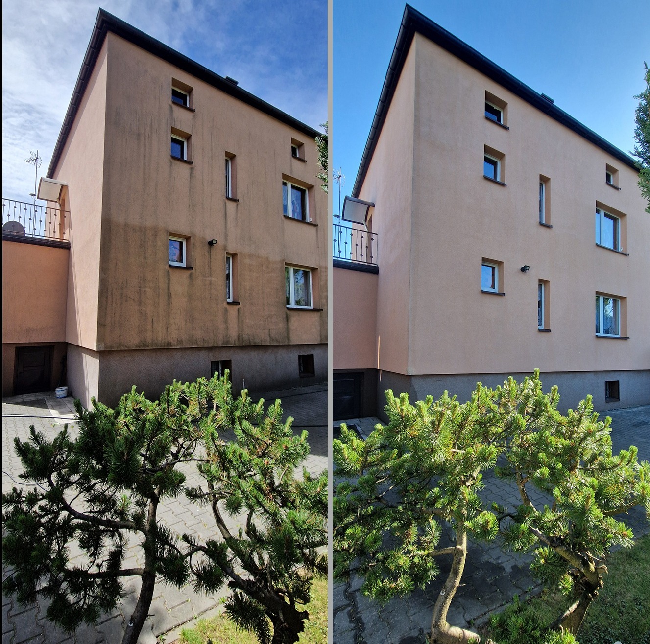 Zdjęcie typu 'przed i po' prezentujące budynek z elewacją, gdzie lewa strona jest zabrudzona, a prawa po czyszczeniu, z ozdobnymi drzewkami bonsai na pierwszym planie.