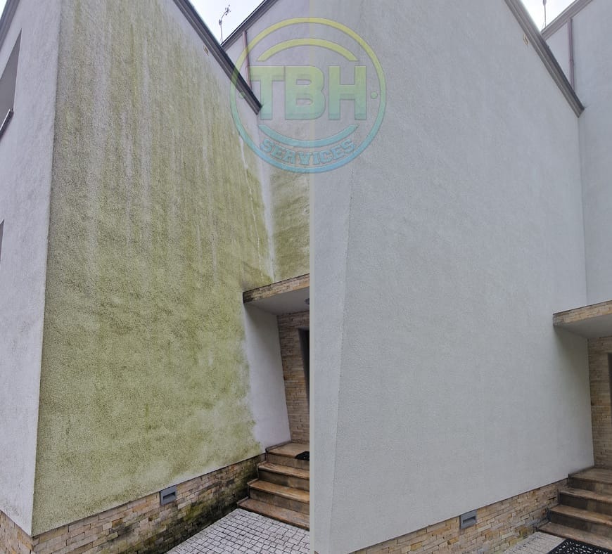 Elewacja budynku przed i po czyszczeniu. Lewa strona pokryta zielonym nalotem, prawa strona czysta, jasna. Widoczne schody wejściowe i fragment dachu.