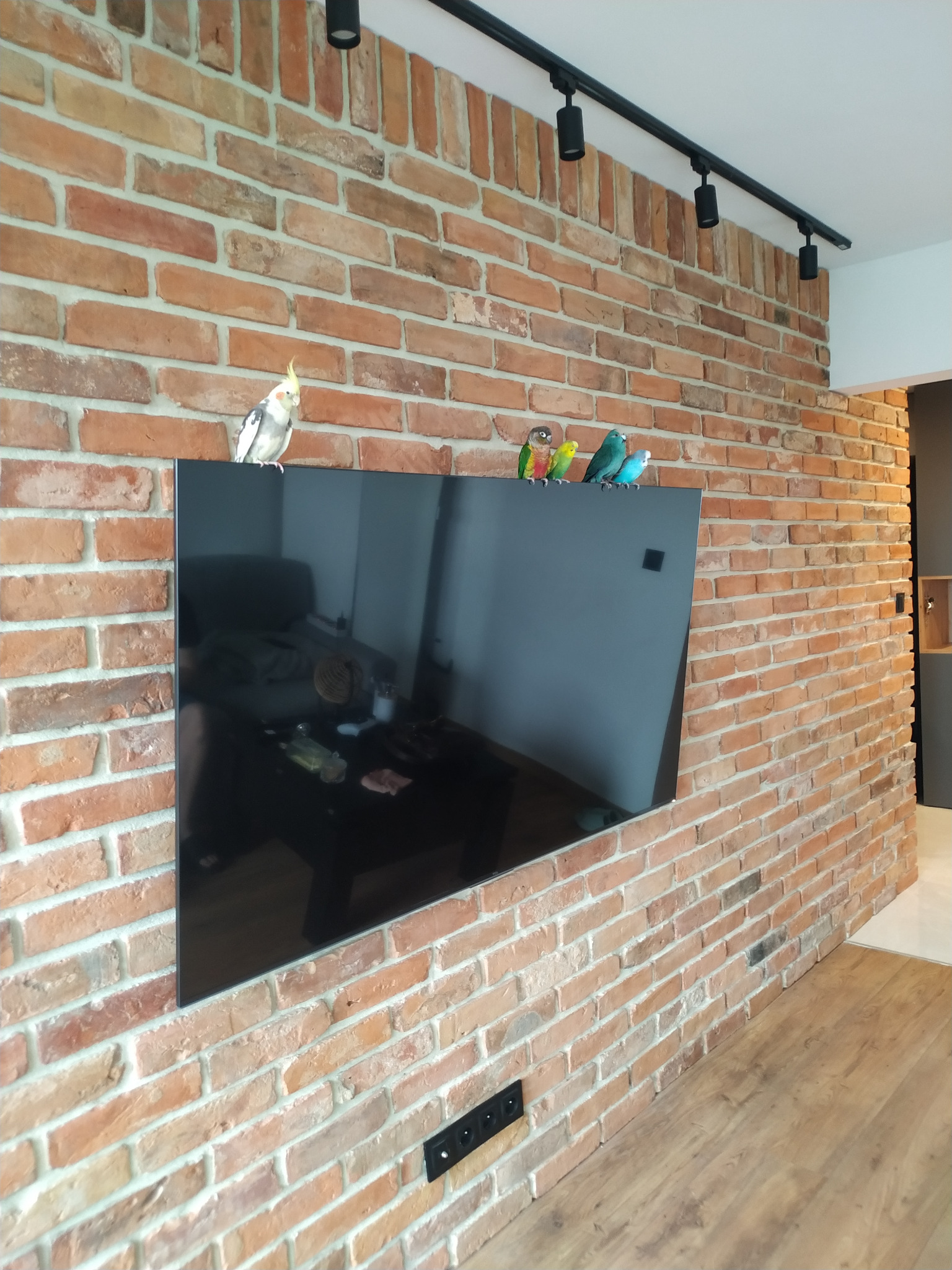 Salon w bloku z wielkiej płyty - po remoncie generalnym mieszkania.